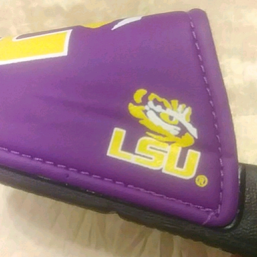 LSU Slides - Picture 4 of 5